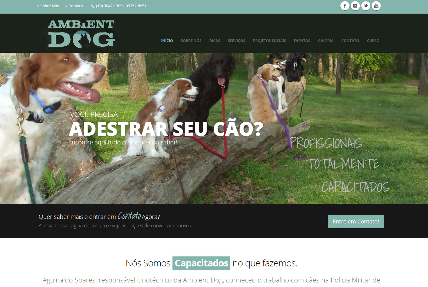 Cliente de Criação de Sites em Piracicaba - Ambient Dog